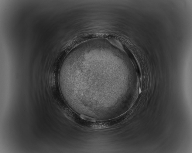 X0000085730704200703231048