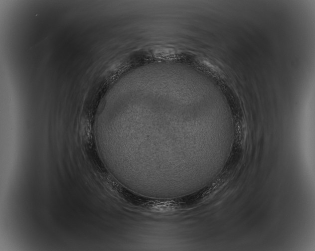 X0000085730705200703231048