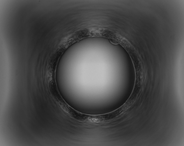 X0000085730706200703231048