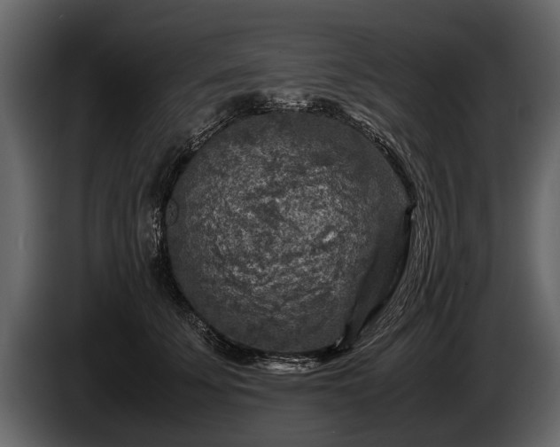 X0000085730707200703231048