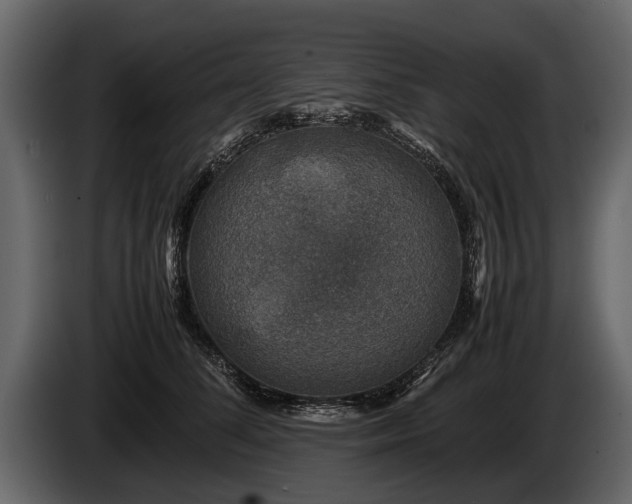 X0000085730708200703231048