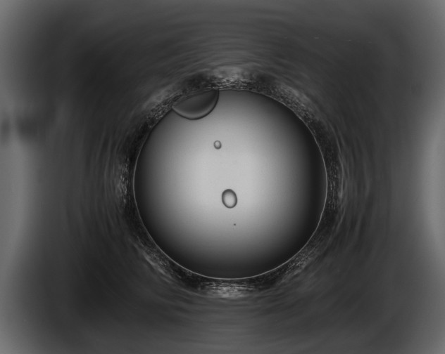 X0000085730710200703231048