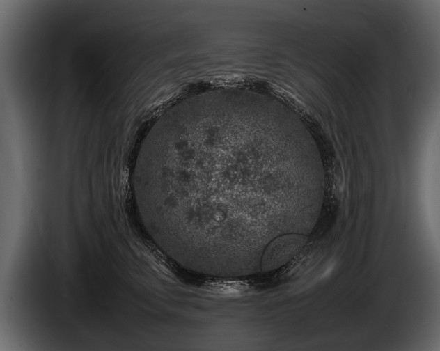 X0000085730711200703231048