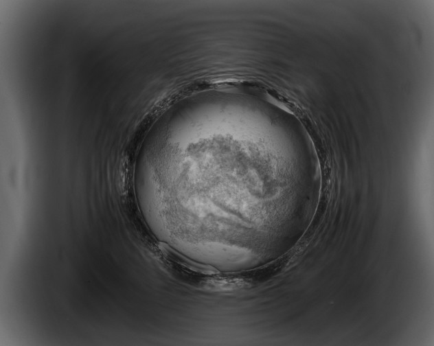 X0000085730712200703231048