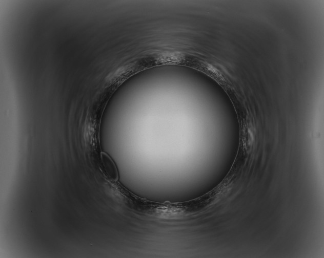 X0000085730714200703231048