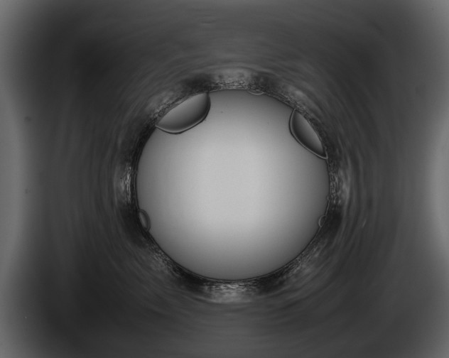 X0000085730717200703231048