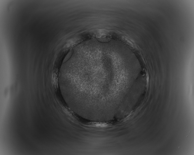 X0000085730719200703231048