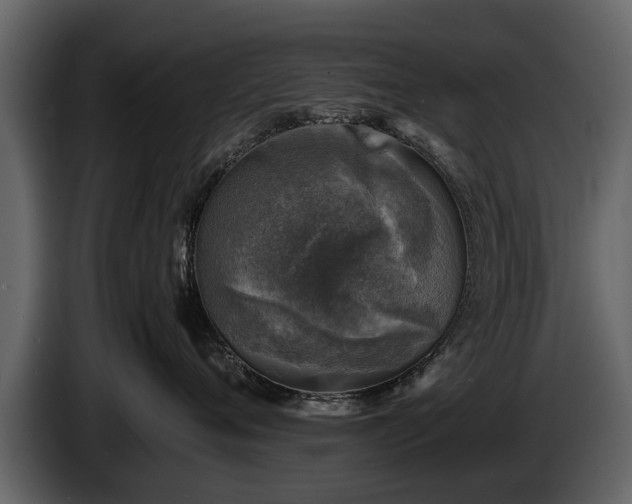 X0000085730720200703231048