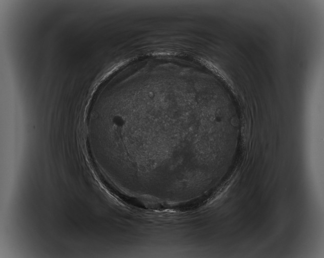 X0000085730721200703231047