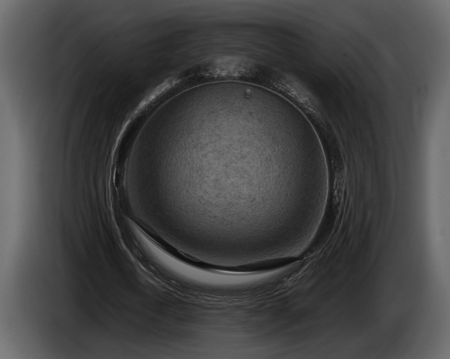 X0000085730722200703231047