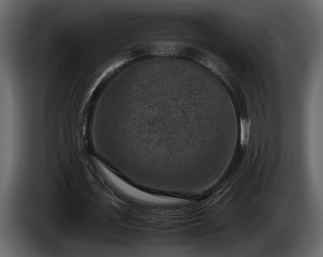 X0000085730723200703231047