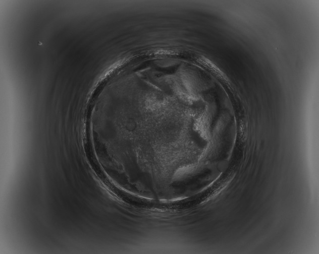 X0000085730725200703231047