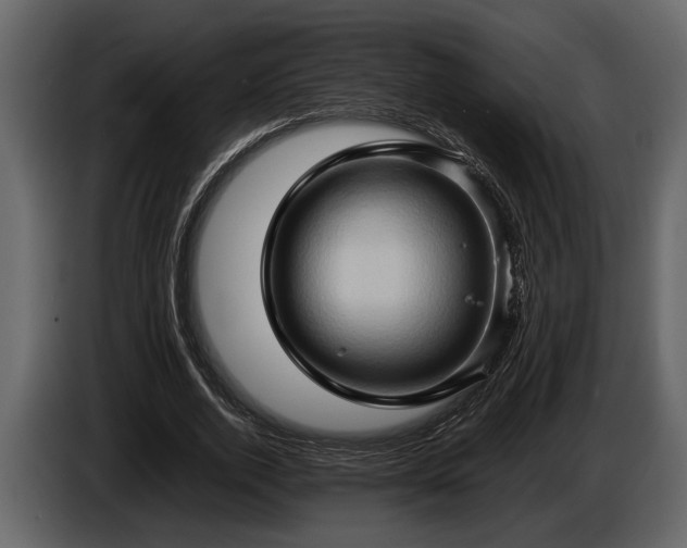 X0000085730728200703231047