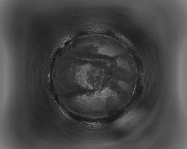 X0000085730729200703231047