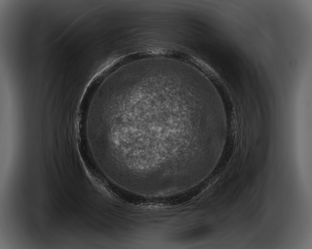 X0000085730730200703231047