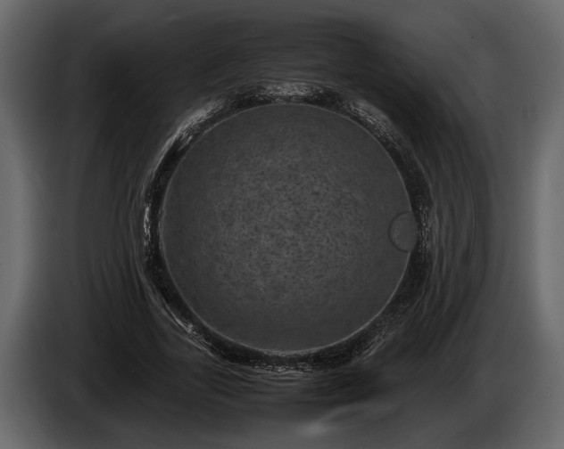 X0000085730731200703231047