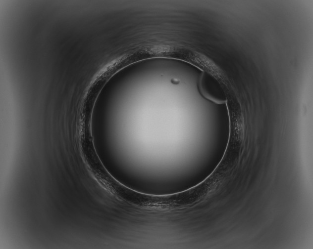 X0000085730732200703231047