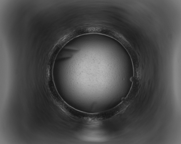 X0000085730733200703231047