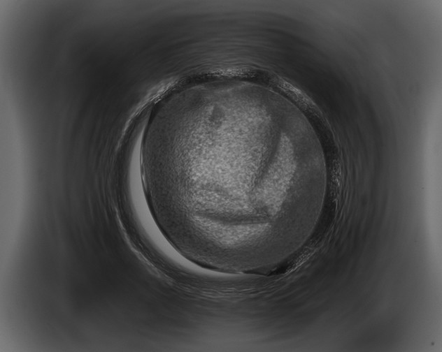 X0000085730734200703231047