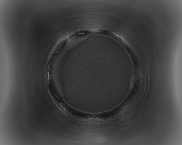 X0000085730736200703231047