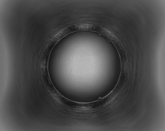 X0000085730737200703231048