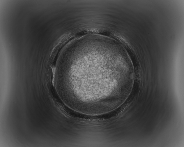 X0000085730738200703231048