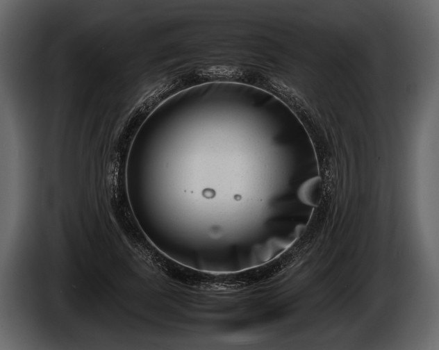 X0000085730739200703231048