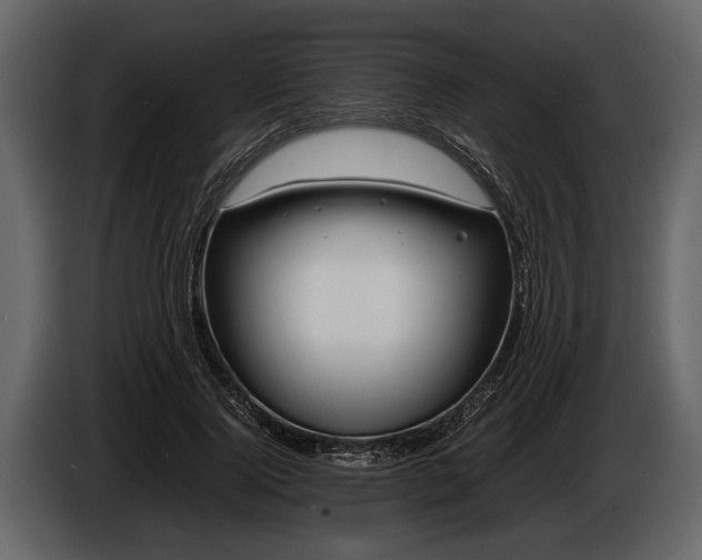 X0000085730740200703231048