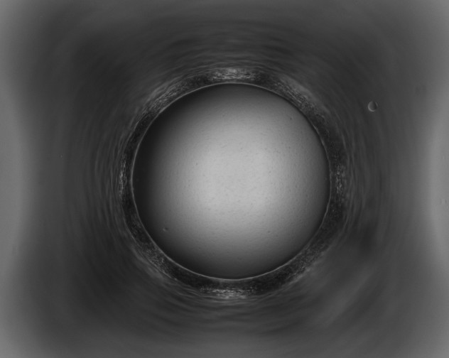 X0000085730741200703231048