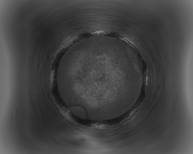 X0000085730742200703231048