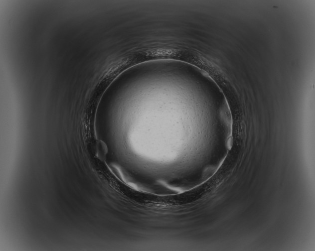 X0000085730743200703231048