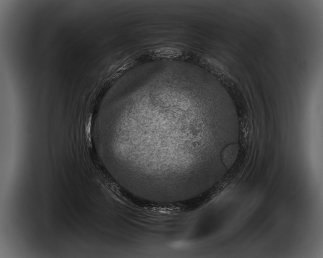 X0000085730745200703231048