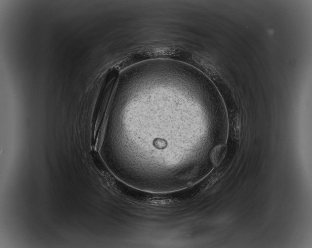 X0000085730746200703231048