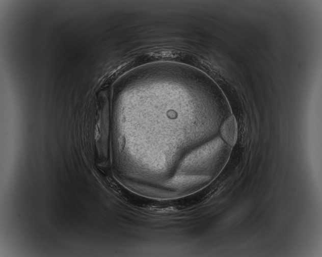 X0000085730747200703231048