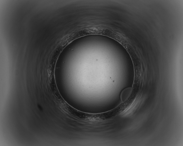 X0000085730749200703231048