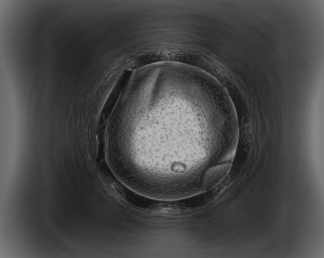 X0000085730750200703231048