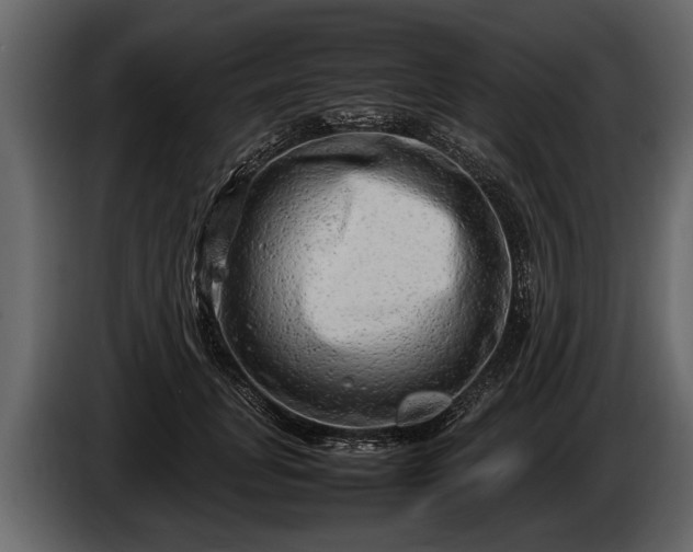 X0000085730751200703231048