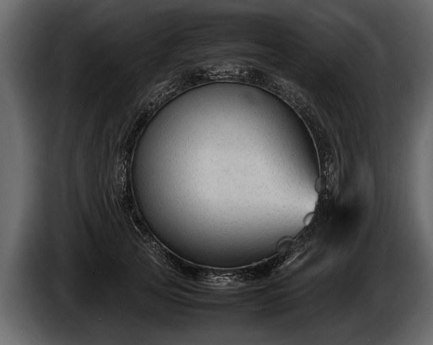 X0000085730753200703231048