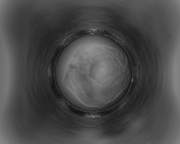 X0000085730754200703231048