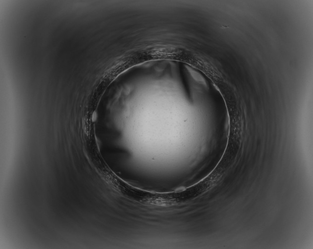 X0000085730755200703231048