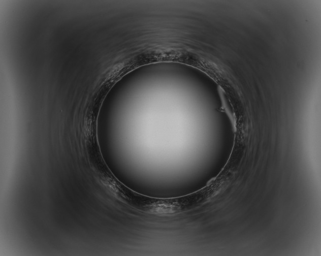 X0000085730756200703231048