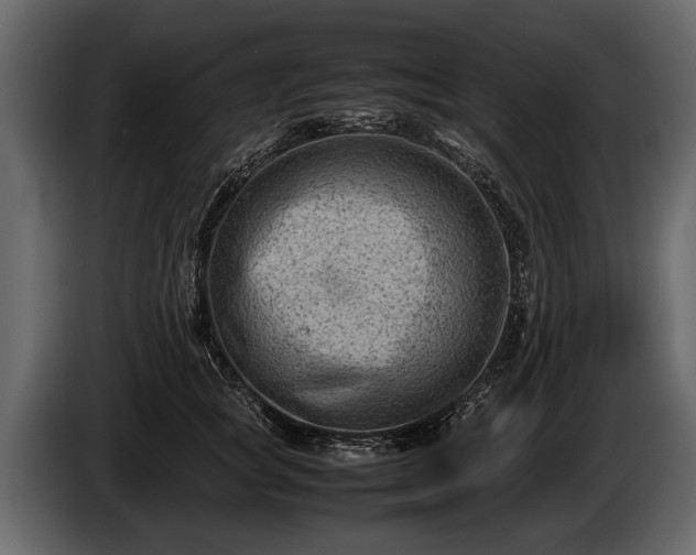 X0000085730757200703231048