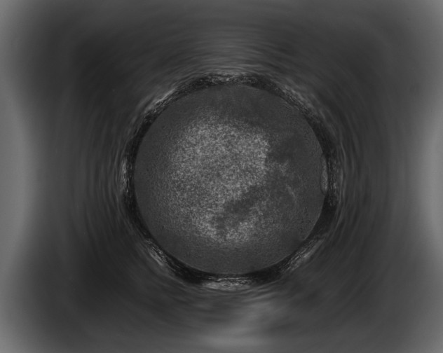 X0000085730758200703231048