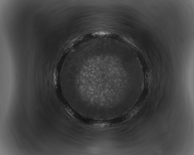 X0000085730760200703231048