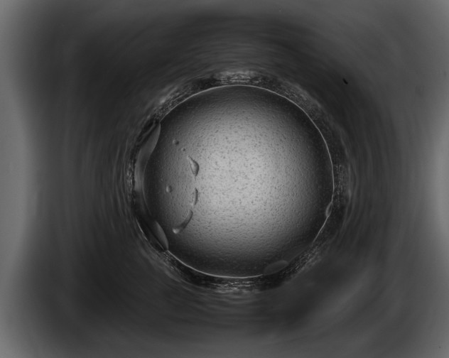 X0000085730761200703231048