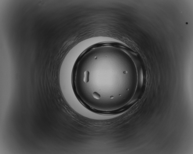 X0000085730762200703231048