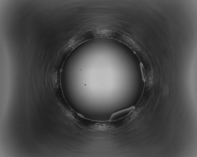 X0000085730764200703231048