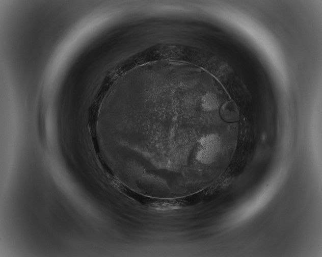 X0000085730765200703231048