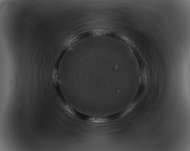 X0000085730766200703231048