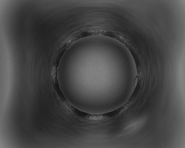 X0000085730767200703231048